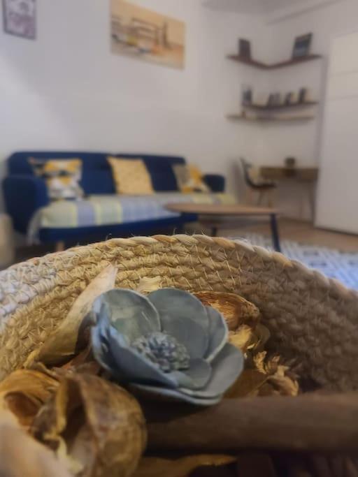 Appartement T2 Avec Clim Et Wifi, A 50 M De La Plage Collioure Dış mekan fotoğraf