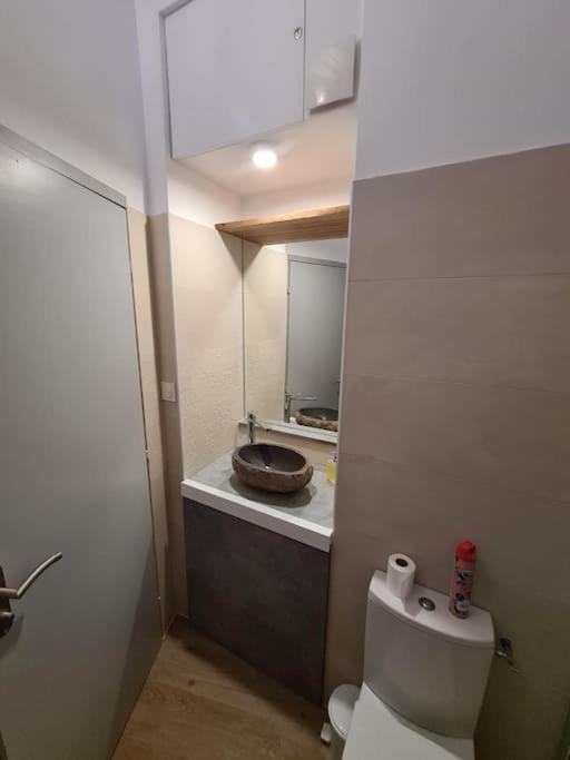 Appartement T2 Avec Clim Et Wifi, A 50 M De La Plage Collioure Dış mekan fotoğraf